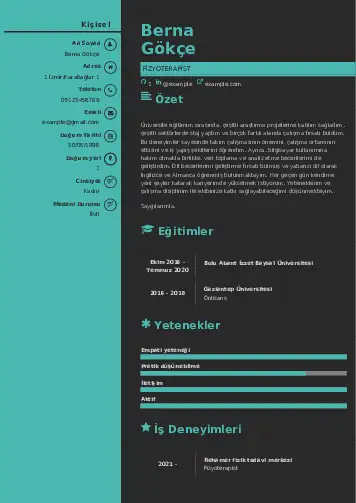 Fizyoterapist Cv Örnekleri cv indir